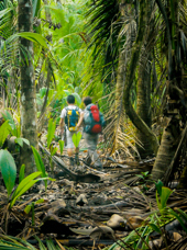 costa rica - corcovada_natinalpark_jungle_01