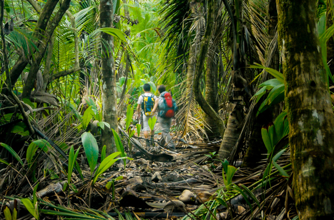 costa rica - corcovada_natinalpark_jungle_01