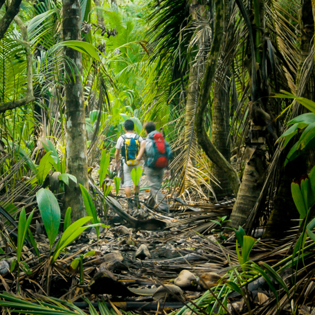costa rica - corcovada_natinalpark_jungle_01