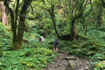 På vej til bjerglandsbyen Ghandruk tæt på Himalaya vandrer vi det sidste stykke op til landsbyen.