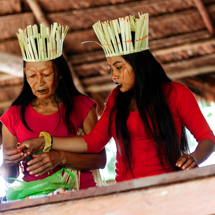 Ecuador Amazonas Flodkrydstogt Manatee Befolkning01