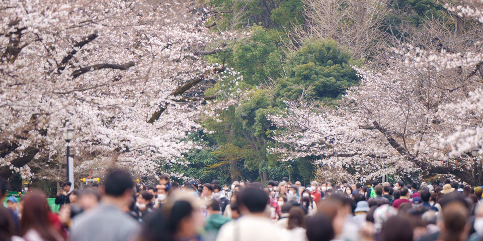 Ueno Park Tokyo