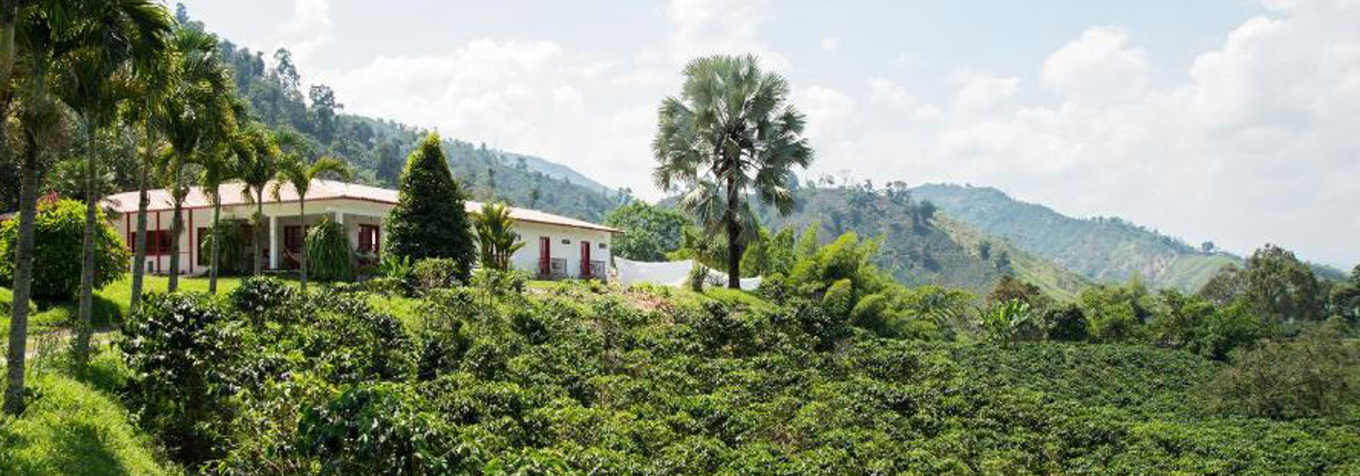 Hacienda Venecia Facade 01
