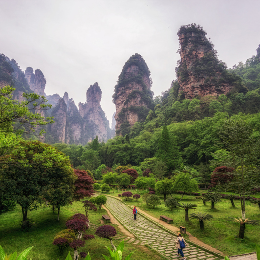 Vi skal vandre, svæve med kabelbane og benytte en høj elevator i Avatar bjergene