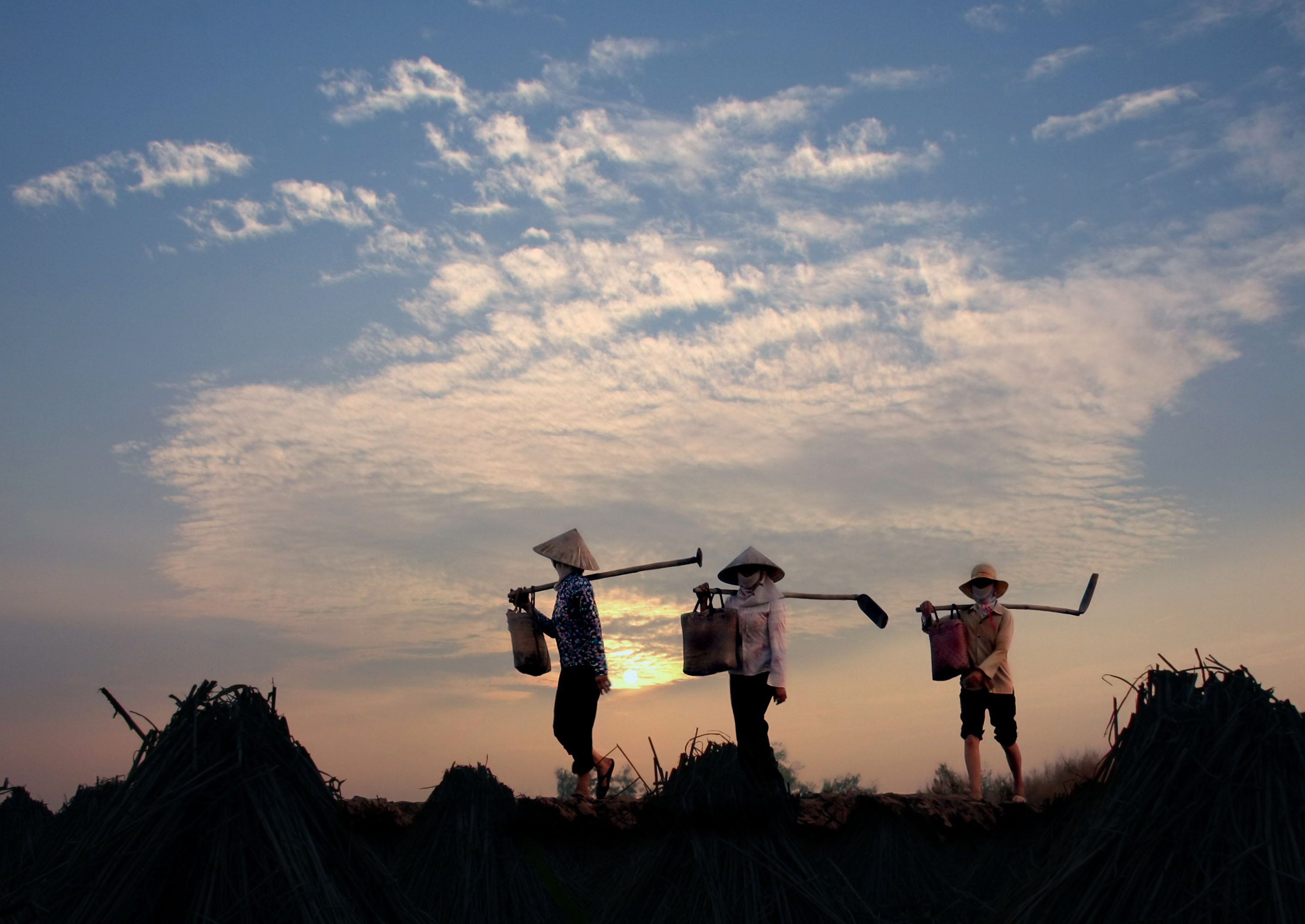 Vietnam - vietnam_befolkning_kvinde_farmer_01