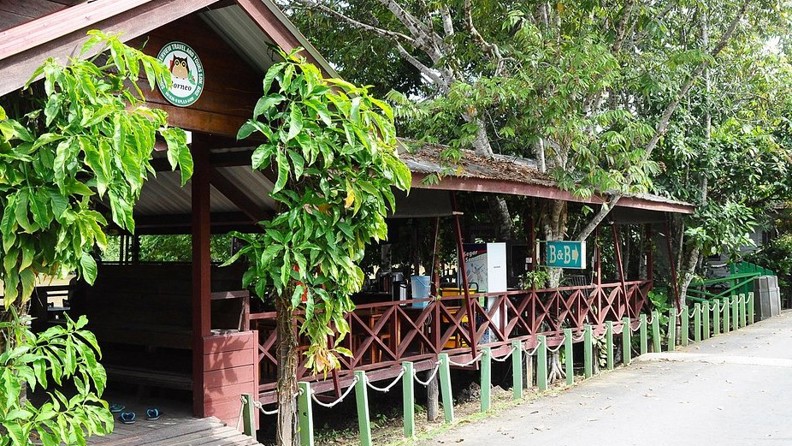 Sukau Greenview Lodge Reception