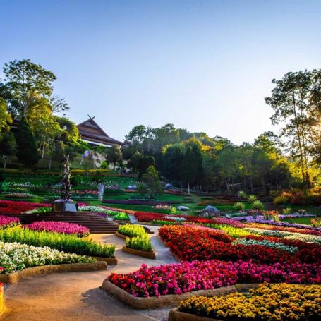 Doi Mae Salong & Doi Tung 3