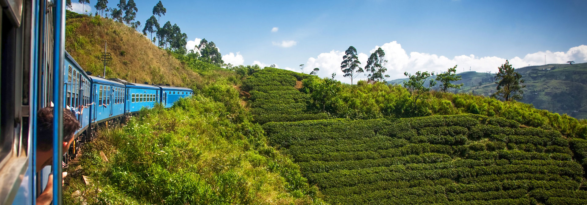 Det Grønne Sri Lanka