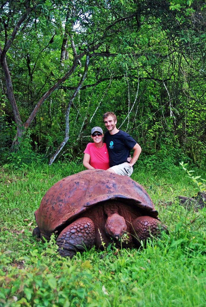 galapagos_skildpadde_22_hf