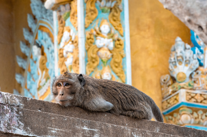 Battambang Shutterstock 2687290447