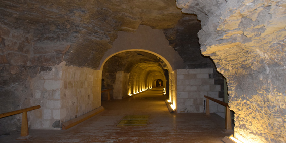 Serapeum As 733073111