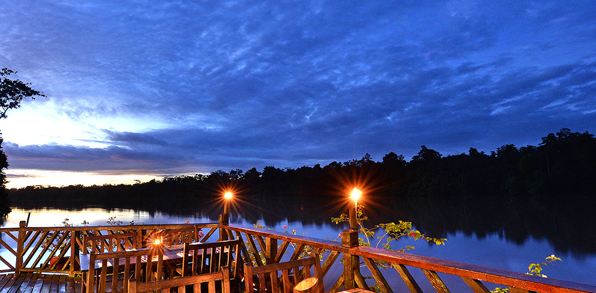I fortsætter herfra ud i regnskoven til den prisvindende lodge Sukau Rainforest Lodge