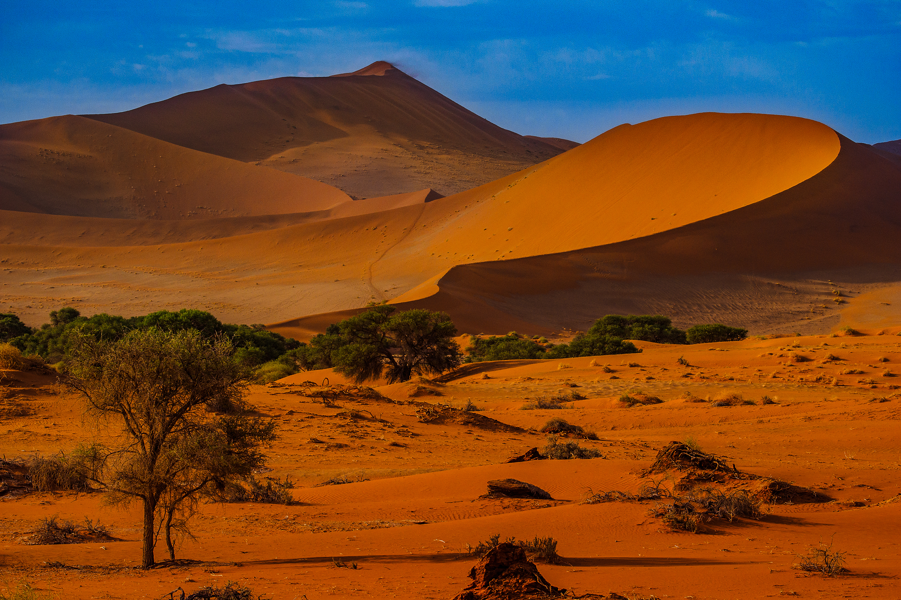 Namib oerken_07