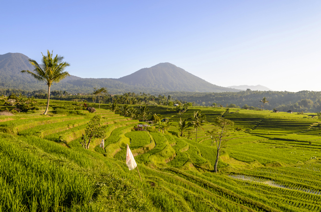 bali - jatiluwih_rismark_02