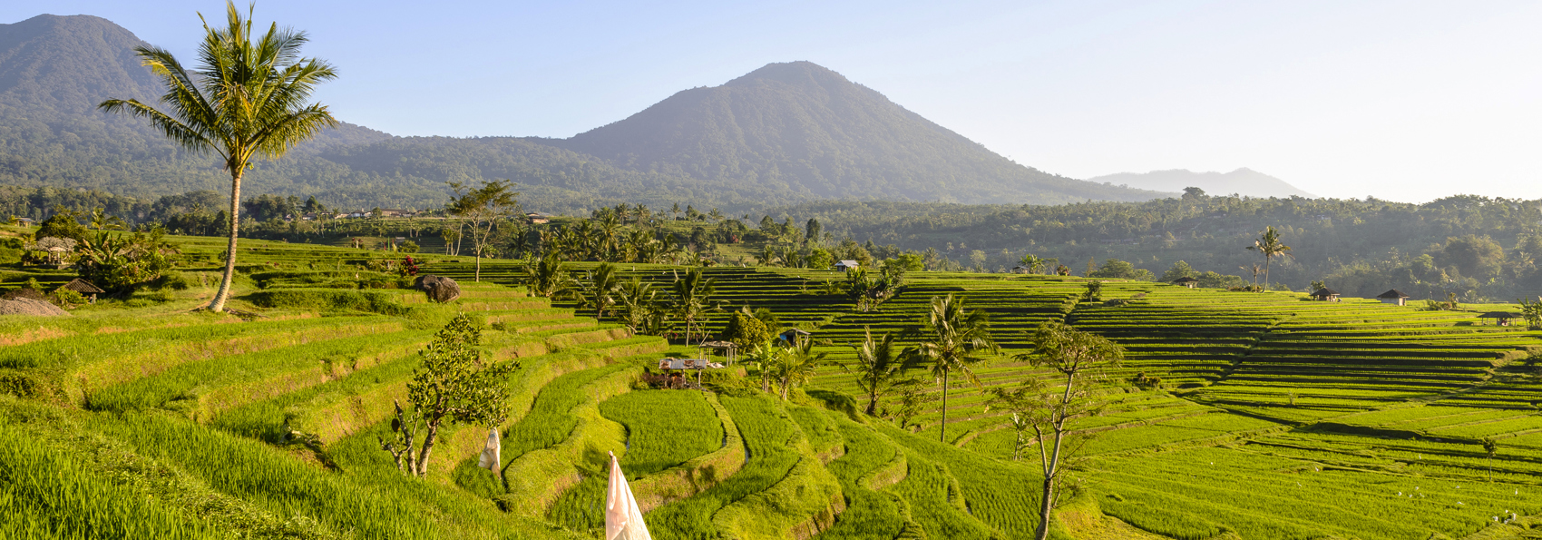 bali - jatiluwih_rismark_02