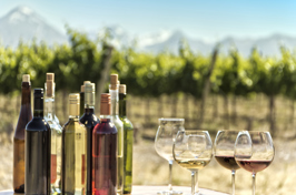 argentina - mendoza_vin_07