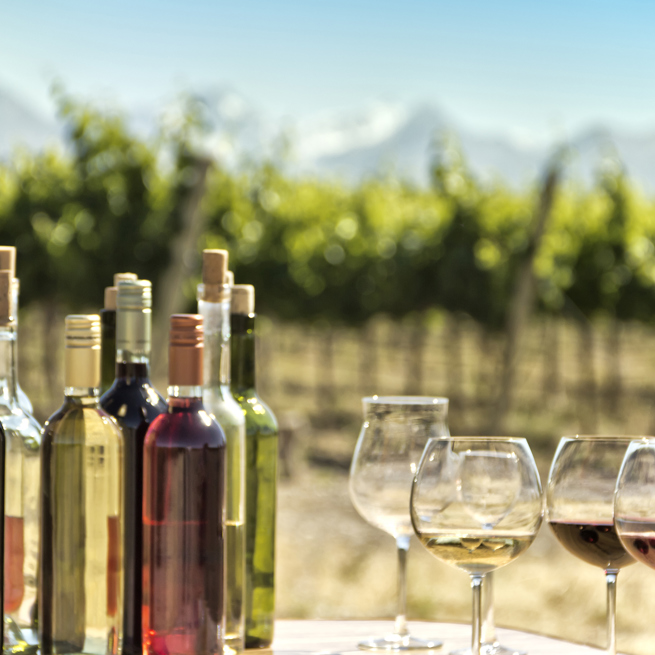 argentina - mendoza_vin_07