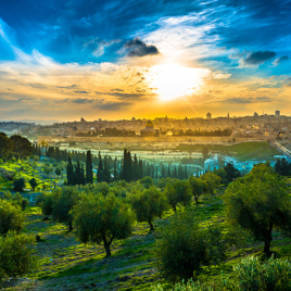 gethesemane have jerusalem_01