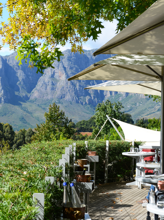 sydafrika - stellenbosch_vinmark_08