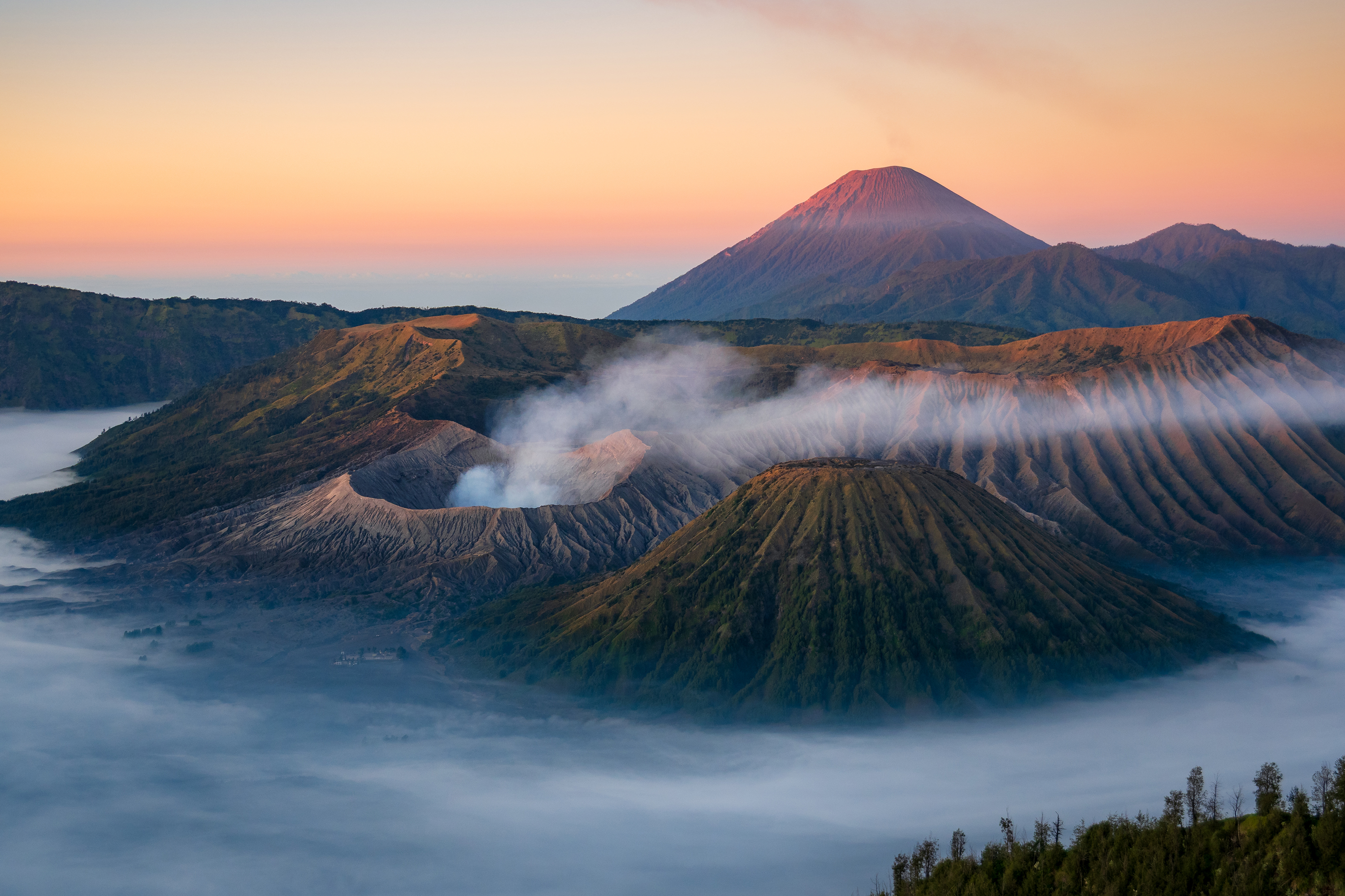 Mount Bromo GT 2220593211