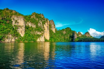 malaysia - Langkawi_mangrove_trae_01