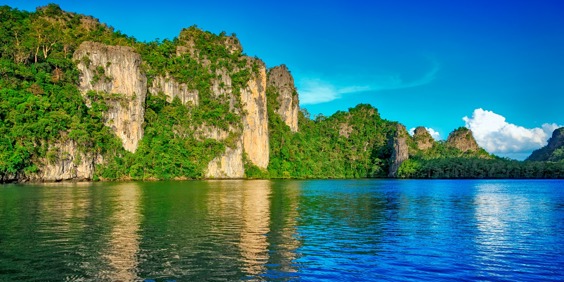 malaysia - Langkawi_mangrove_trae_01