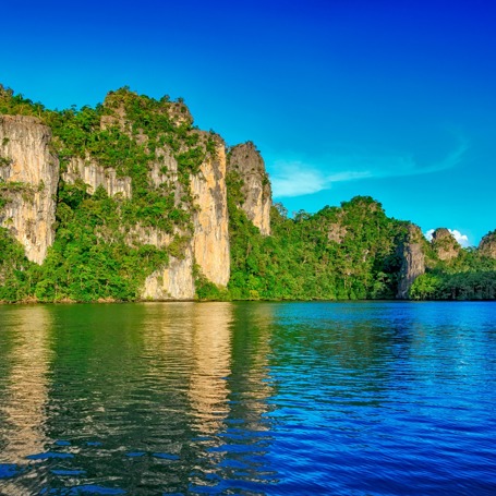 malaysia - Langkawi_mangrove_trae_01