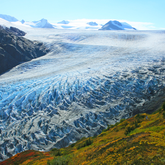 På vej til havnebyen Seward ser vi den imponerende Exit-gletsjer.