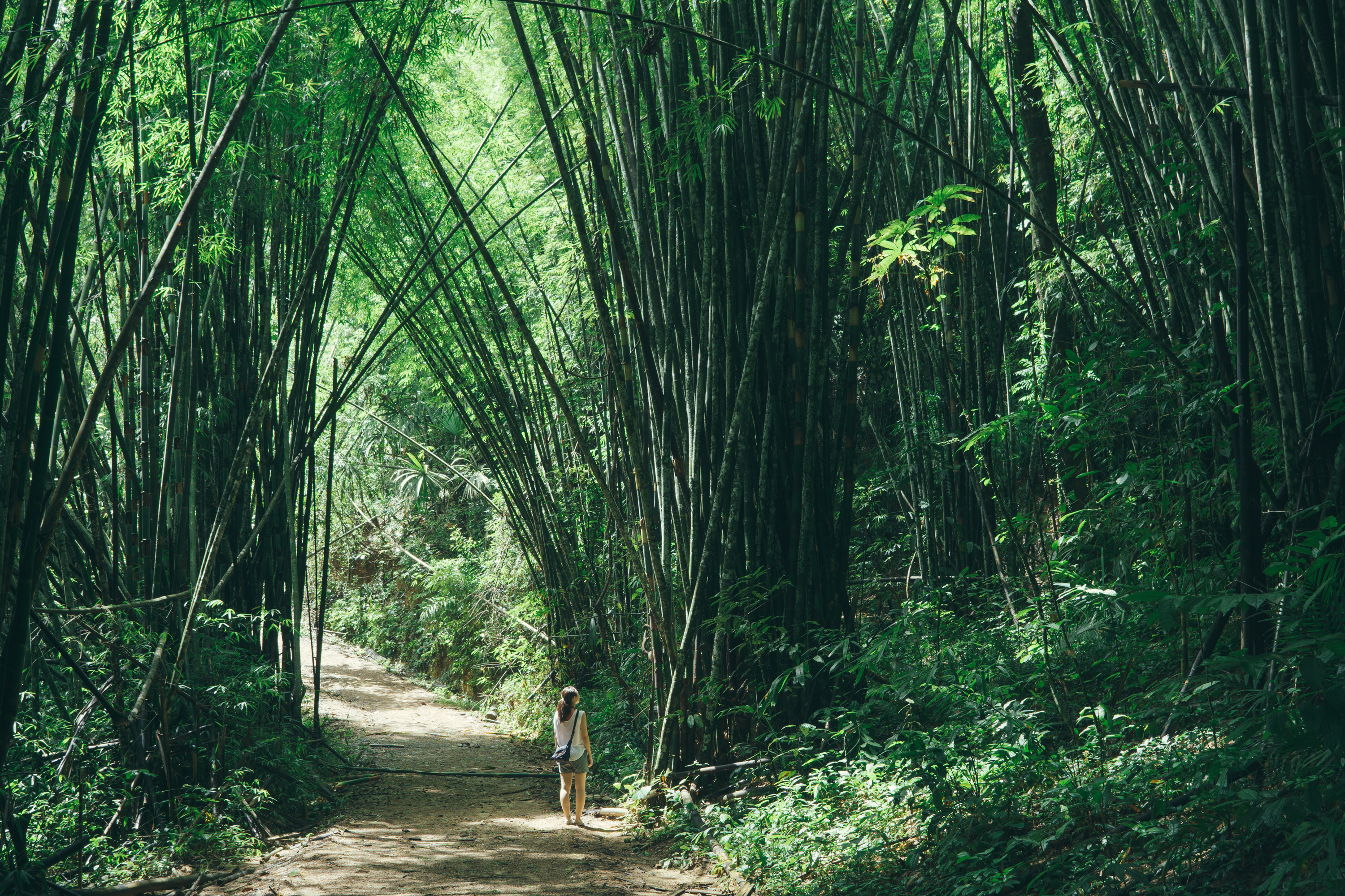 Khao Sok 04