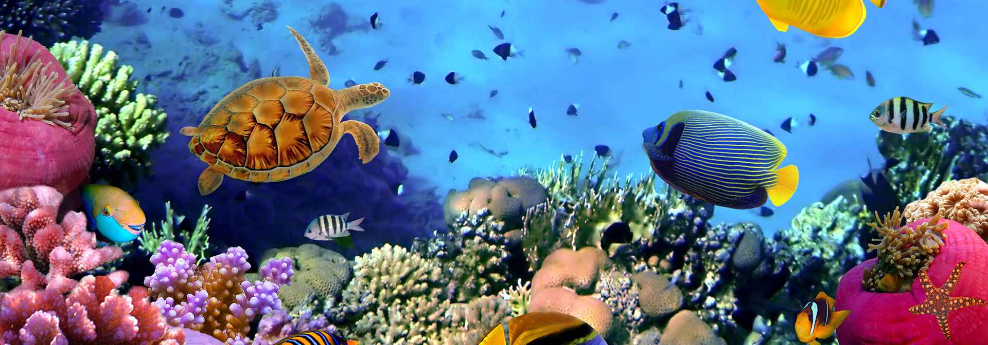 jordan - roede hav_02