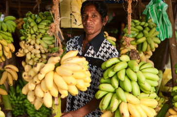 sri lanka - sri lanka_marked_05