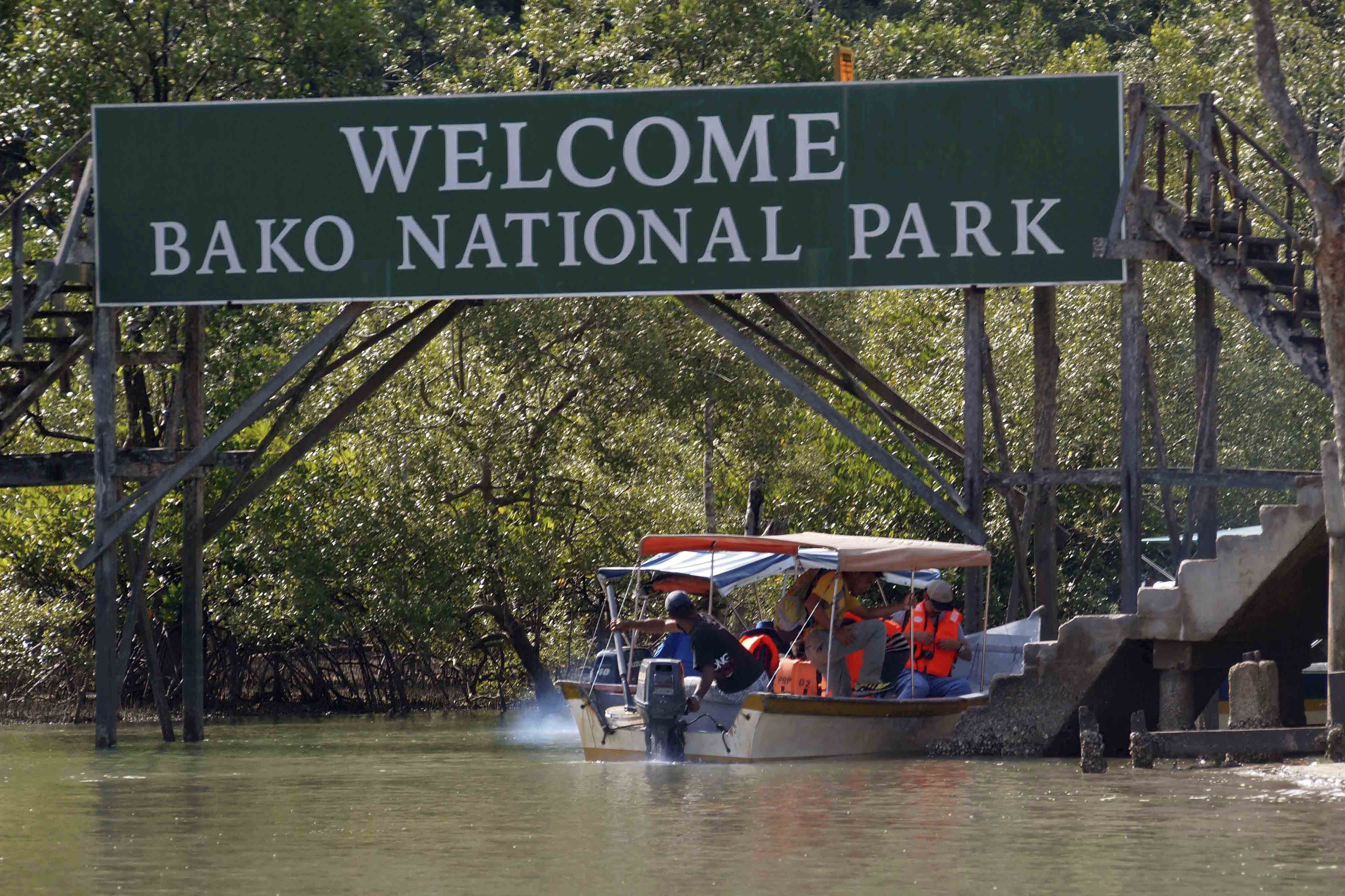 bako national park hostel_06