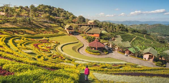 Doi Mae Salong & Doi Tung 1