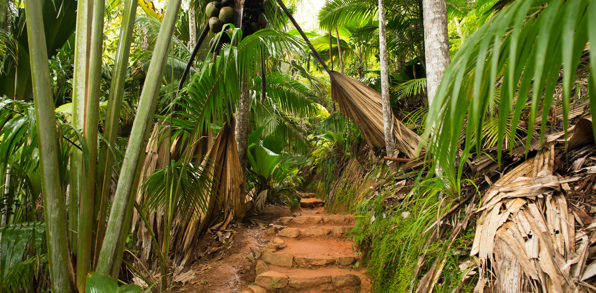 seychellerne - praslin_edens have_01
