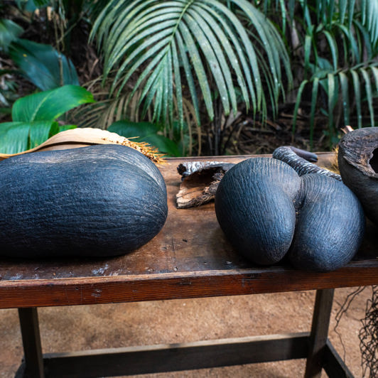 seychellerne - praslin_eden have_kokos_02