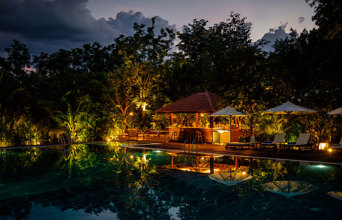 Farm House Smiling Gecko