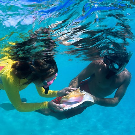 dansk vestindien - st john_snorkling_01