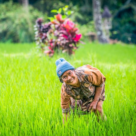 bali - bali_farmer_kvinde_01