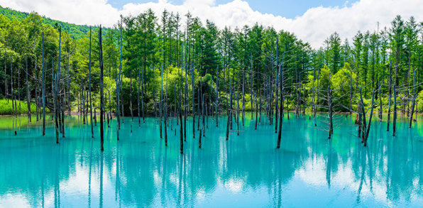 Hokkaido Furano Biei Shirogane Aoi Ike Blue Pond