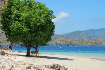 bali - gili asahan_01