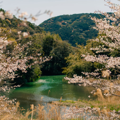 Shikoku Natur01