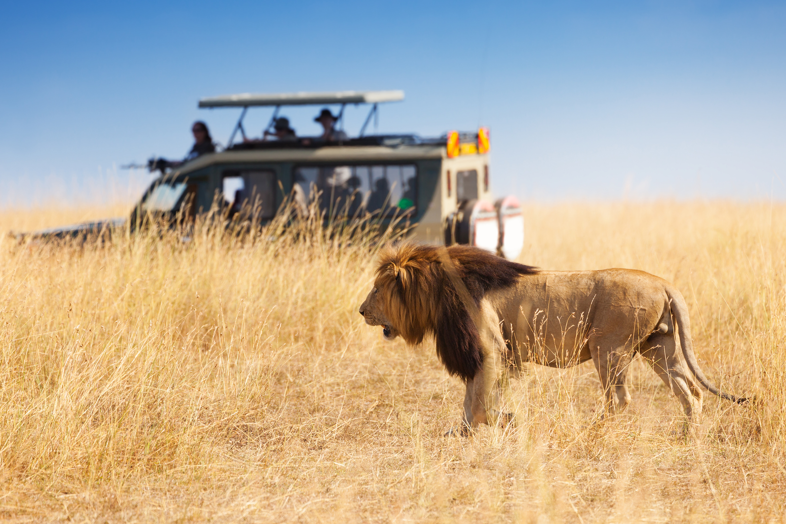 kenya_masai mara_safari_loeve_01