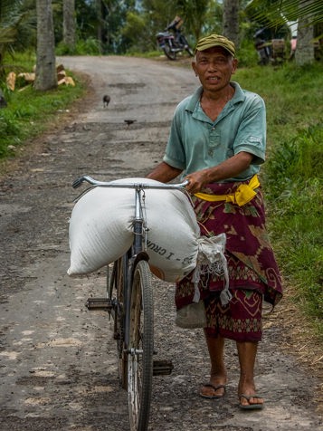 bali - bali_befolkning_mand_cykel_01_HF