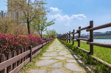 Sydkorea Osong Sti Osong Lake Park