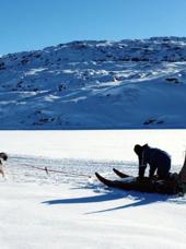 Oqaatsut Hundeslæde 01