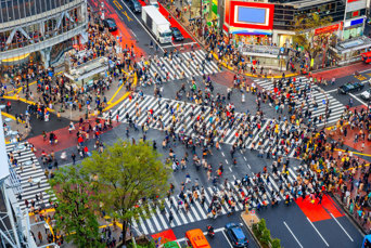 Verdens travleste fodgængerfelt i Shibuya