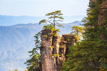 Tågeslør mellem sandstenssøjlerne i Zhangjiajie National Forest Park