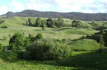 new zealand - farmstay_01