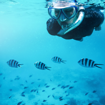 zanzibar_snorkel_coral_02