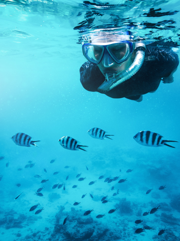 zanzibar_snorkel_coral_02